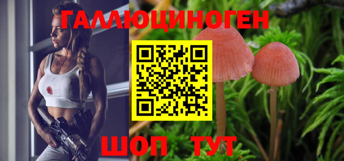 Каменск-Уральский  Псилоцибиновые грибы прущие грибы  Вход с VPN 